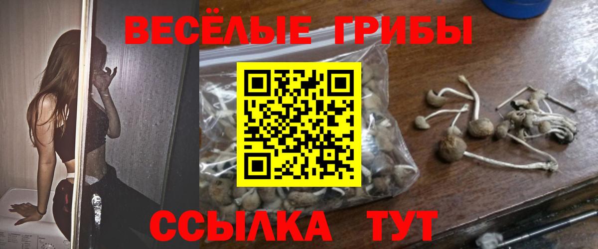 Псилоцибиновые грибы ЛСД Чапаевск