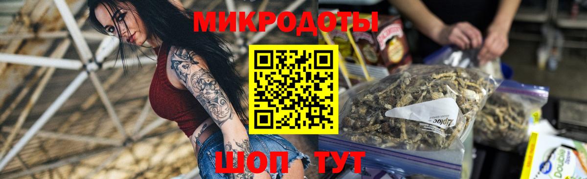 Псилоцибиновые грибы Psilocybine cubensis  Вход с VPN  Чапаевск 